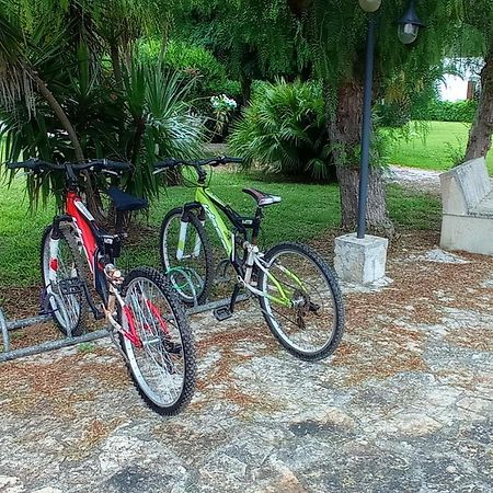 Tenuta Don Monaco - Agriturismo Santa Cesarea Terme Zewnętrze zdjęcie