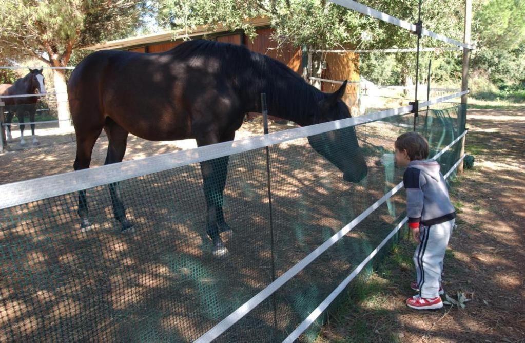 Tenuta Don Monaco - Agriturismo Santa Cesarea Terme Zewnętrze zdjęcie
