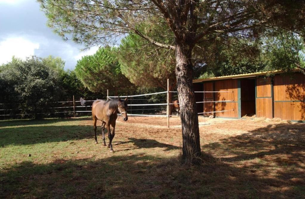 Tenuta Don Monaco - Agriturismo Santa Cesarea Terme Zewnętrze zdjęcie